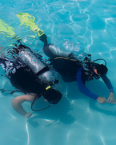 Diving lessons and courses
