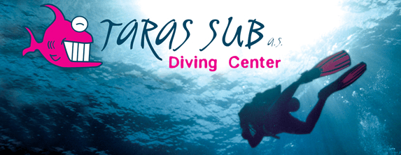 diving services