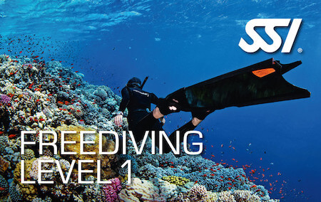 freediving level 1-Taras Sub Diving Center