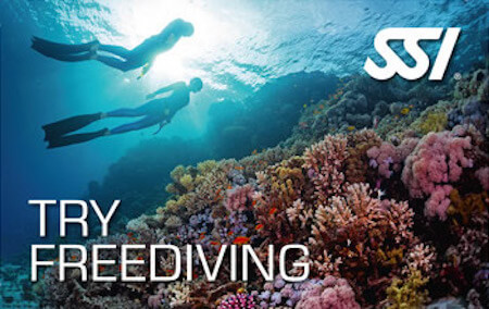 try-freediving-Taras Sub Diving Center